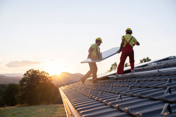Best Roof Insulation Installation  in La Presa, CA