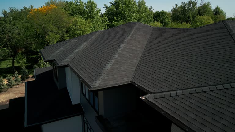 Best Gutter Installation and Repair  in La Presa, CA
