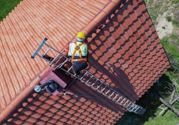Best Roof Ventilation Installation  in La Presa, CA